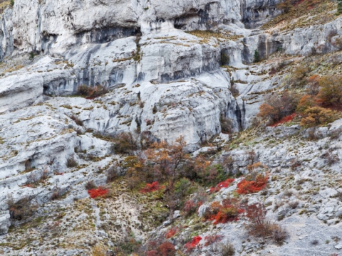 Altari/Oltarji - Photo by Roberto Valenti