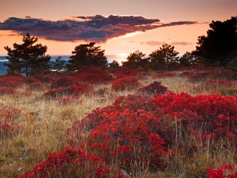 Monte Cocusso/Hrib Kokoš - Photo by Roberto Valenti