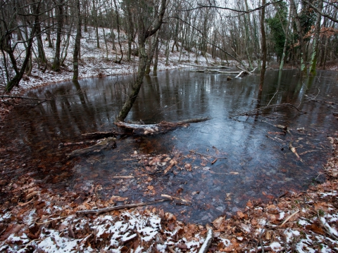 Stagno-Draga - Photo by Roberto Valenti