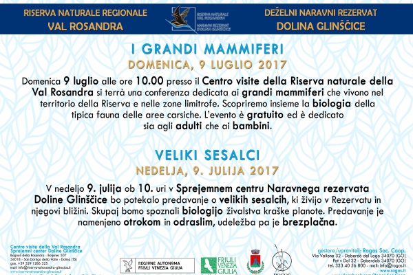 I grandi mammiferi